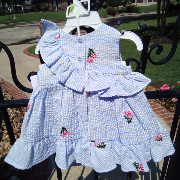 Pinstripe Seersucker and Embroidered Dress | Bonnie Baby