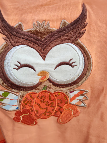 Fall Owl Shirt and Legging Set | Bonnie Jean