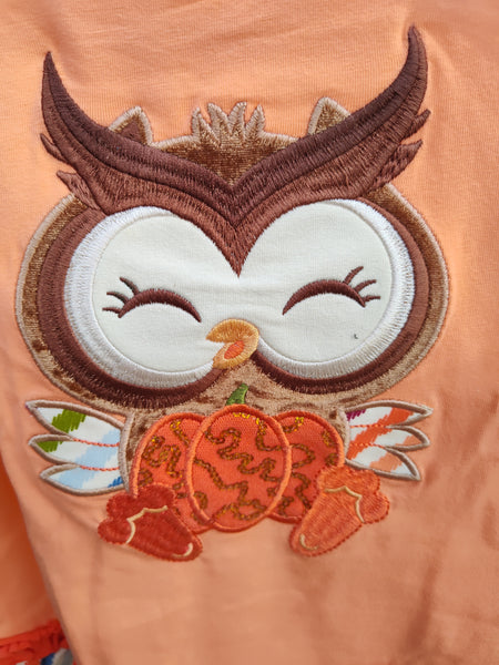 Fall Owl Shirt and Legging Set | Bonnie Jean
