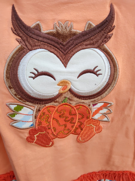 Fall Owl Shirt and Legging Set | Bonnie Jean