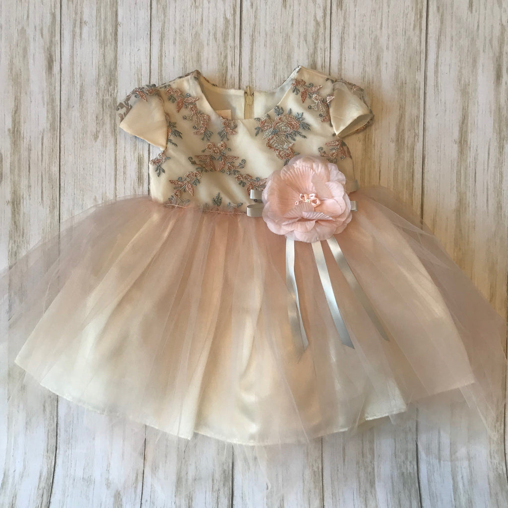 Bonnie Baby 2 Piece Embroidered Floral Dress