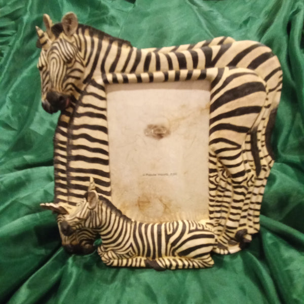 Zebra Photo Frame for 5 x7 pictures