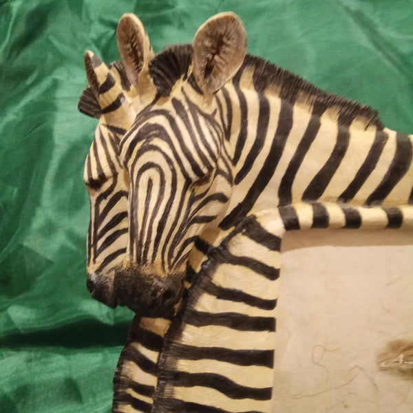 Zebra Photo Frame for 5 x7 pictures