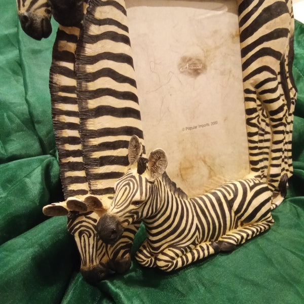 Zebra Photo Frame for 5 x7 pictures