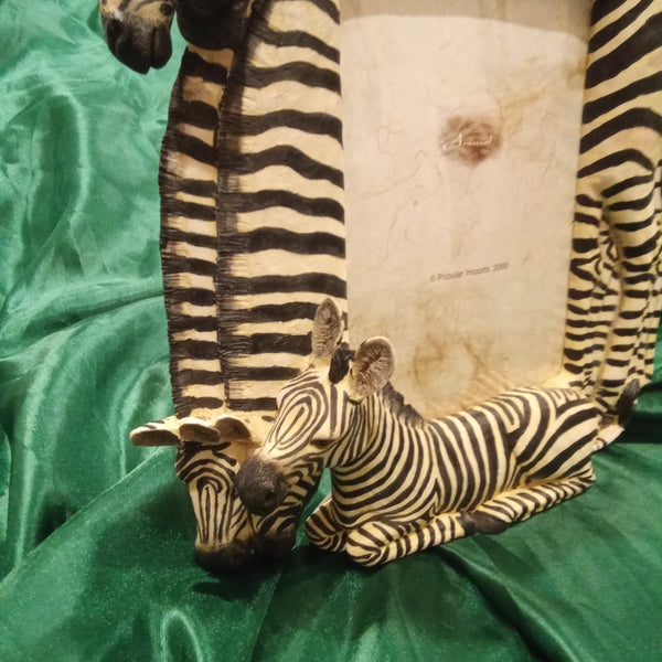 Zebra Photo Frame for 5 x7 pictures