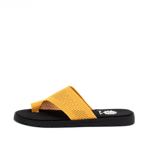 Yellow Box Toe Mariold