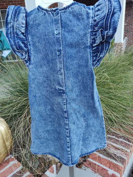 Girls Denim Dress