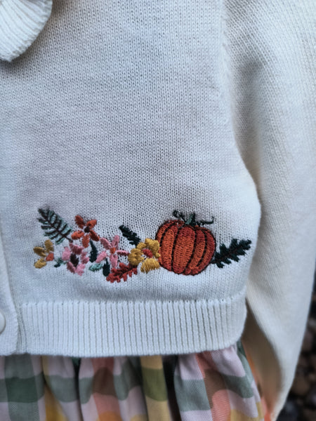 Pumpkin Sweater and Plaid Dress | Bonnie Baby