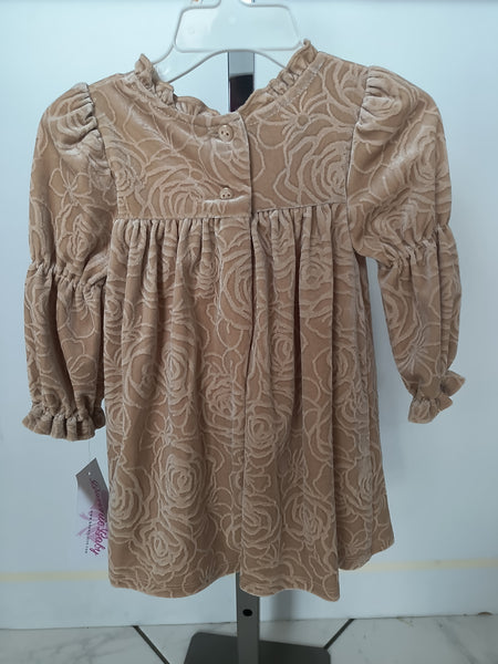 Beige Velvet Infant Dress | Bonnie Baby