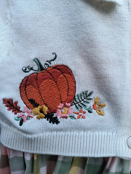 Pumpkin Sweater and Plaid Dress | Bonnie Baby