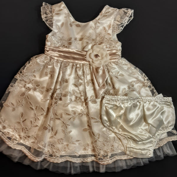 Ivory and Gold Lace Dress and Bloomers