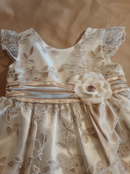 Ivory and Gold Lace Dress and Bloomers