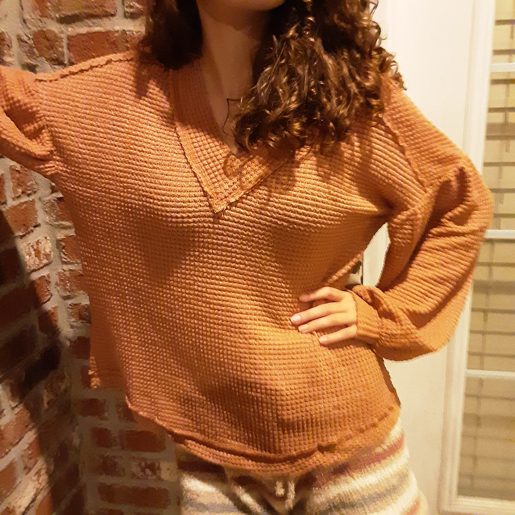 Long Sleeve Waffle Knit V-Neck with Balloon Sleeves