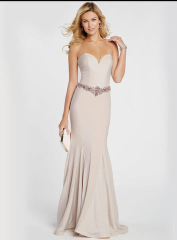 Soft Shimmer Pink Gown
