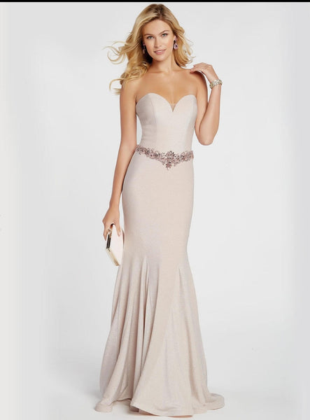 Fitted Soft Shimmer Pink Gown