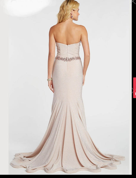 Soft Shimmer Pink Gown